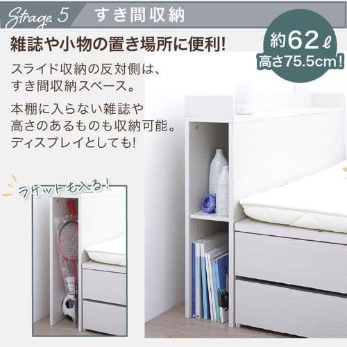 入手困難】 川面凡児全集 2巻～10巻 9冊 本体はグラフィン紙で